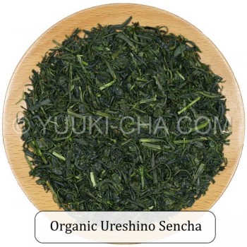Organic Ureshino Sencha